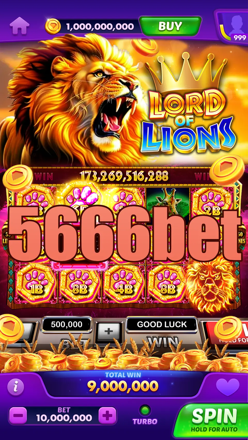 5666bet লগইন